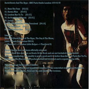 david-bowie-and-the-hype-5