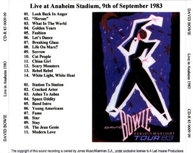 david-bowie-live-in-anahein-27
