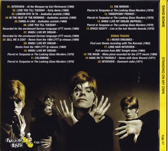 david-bowie-standing-on-own2