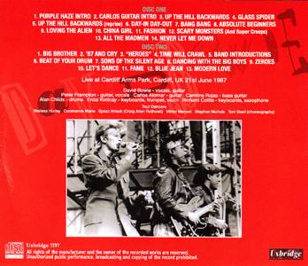 “david-bowie-cardif-1987-REAR“
