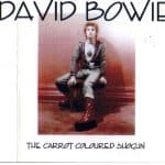 David Bowie 1973-04-20 Tokyo ,Shinjuku Koseinenkin Kaikan Public Hall – The Carrot Coloured Shogun – SQ -7