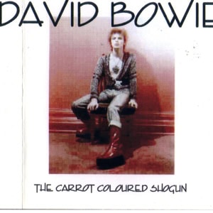 David Bowie 1973-04-20 Tokyo ,Shinjuku Koseinenkin Kaikan Public Hall - The Carrot Coloured Shogun - SQ -7