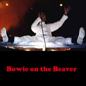 David Bowie 1997-06-08 Offenbach ,Bieberer Berg Stadion - Bowie On The Beaver - (off Master) - SQ 8+