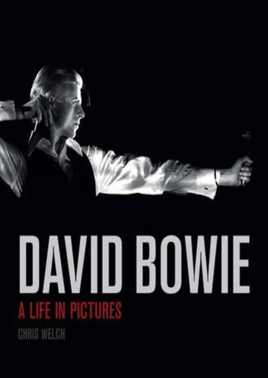 David Bowie A Life in Pictures