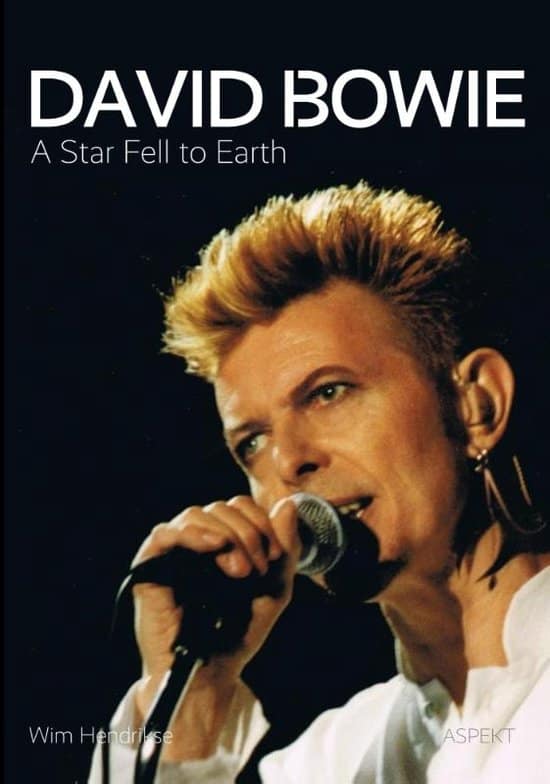 David Bowie A Star Fell To Eart