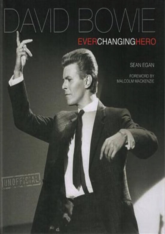 David Bowie Ever Changing Hero