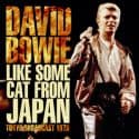 David Bowie 1978-12-12 Tokyo ,Nihon Budokan Hall – Like Some Cat From Japan – SQ 8.