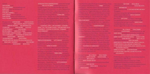 david-bowie-glastonbury-200-album copy copy copy copy copy copy copy copy copy copy