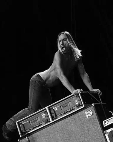 Iggy Pop Live